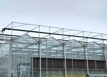 glassgreenhouse